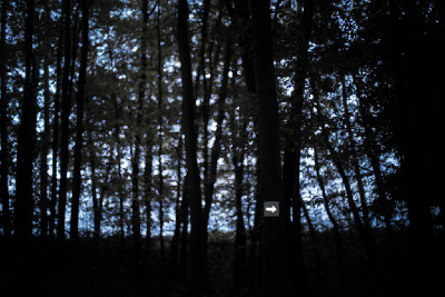 Trek Prague Night MTB Series #2 2014