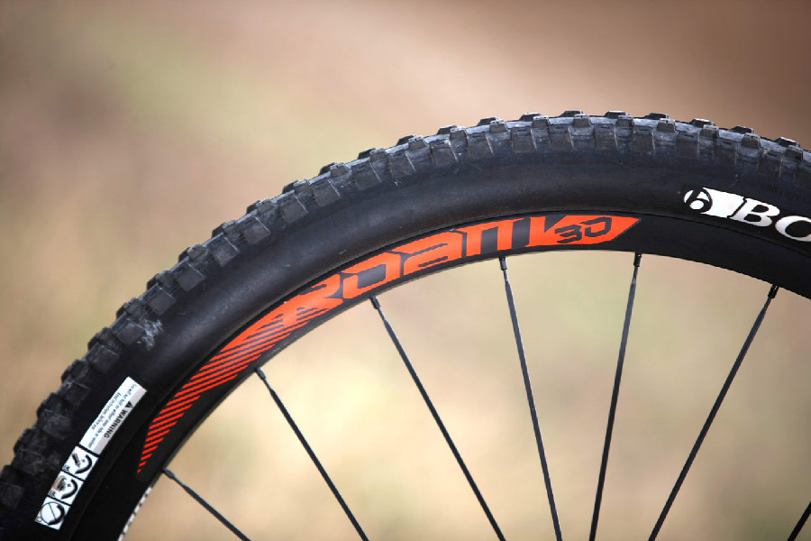 Trek Remedy 9 29 - 2015