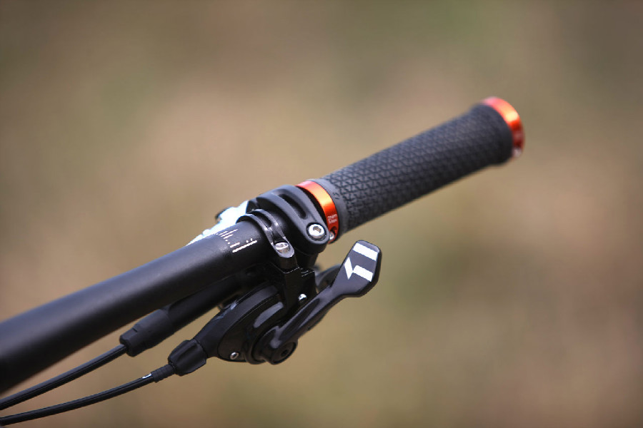 Trek Remedy 9 29 - 2015