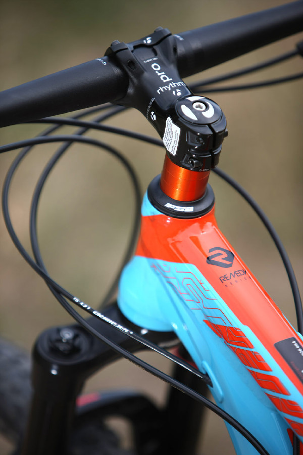 Trek Remedy 9 29 - 2015