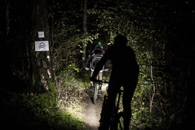 kdo se bojí, nesmí do křoví ...