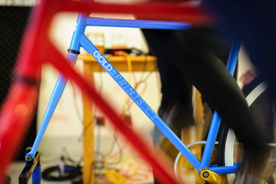 Festka - More Than One party