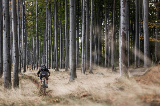 Na trati loňského endura