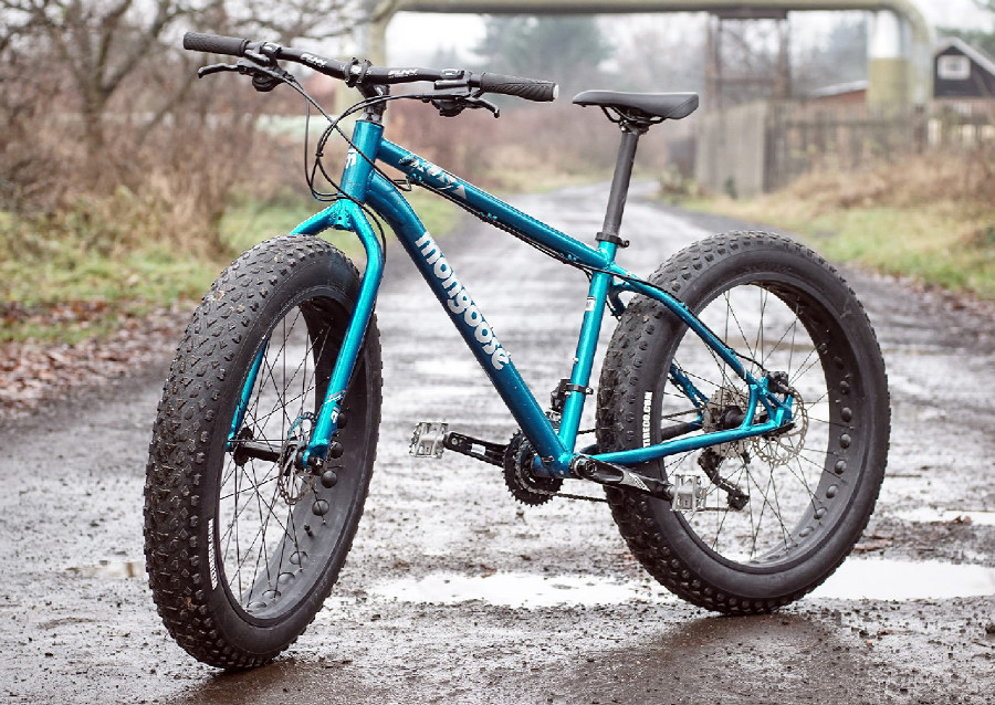 Mongoose Argus