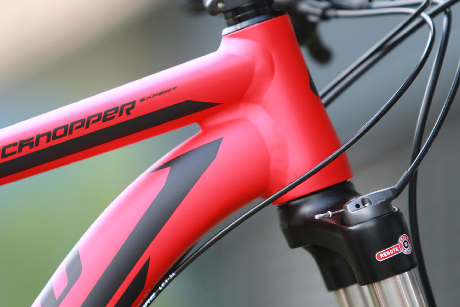 Specialized Rockhopper Expert