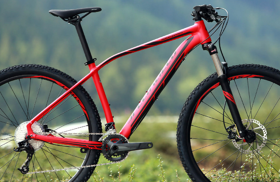 Specialized Rockhopper Expert