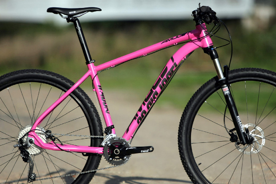 Amulet Big José! 29 11.400 2015