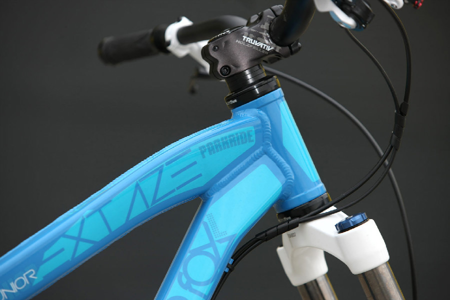 Leader Fox Extaze 2015