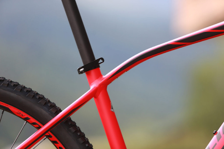 Specialized Rockhopper Expert