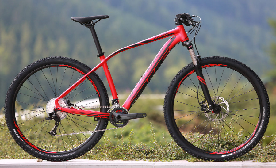 Specialized Rockhopper Expert