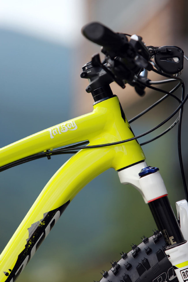 Specialized Fatboy Pro