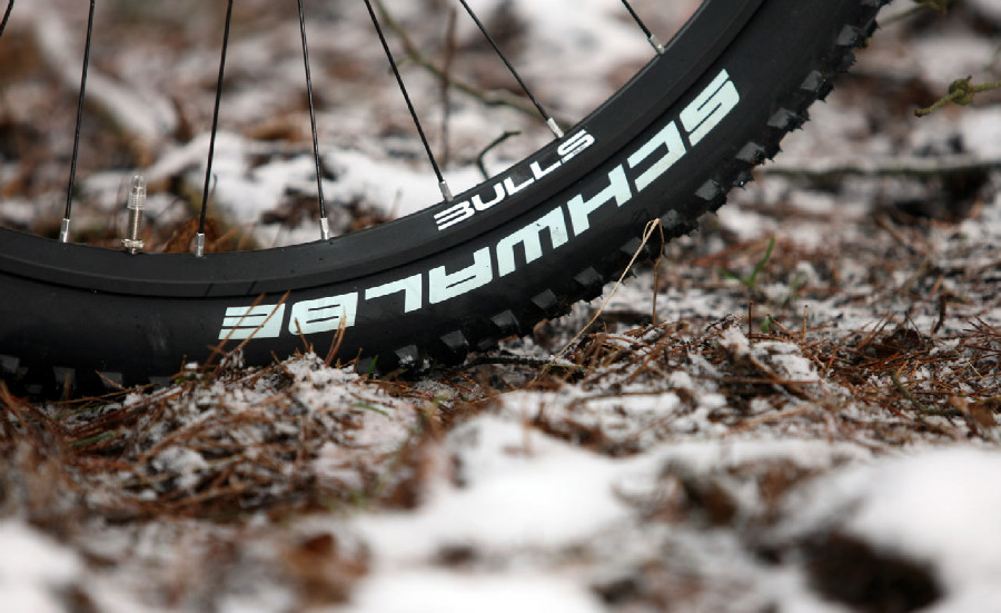 Bulls Black Adder 29