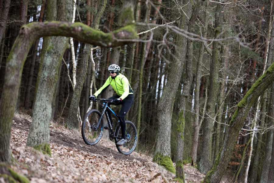 Cannondale FSi Carbon 2