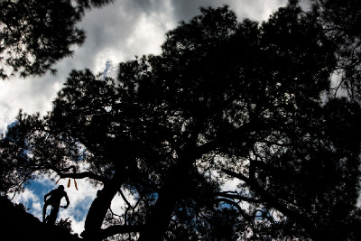 Cyprus Sunshine Cup 2015 - Afxentia