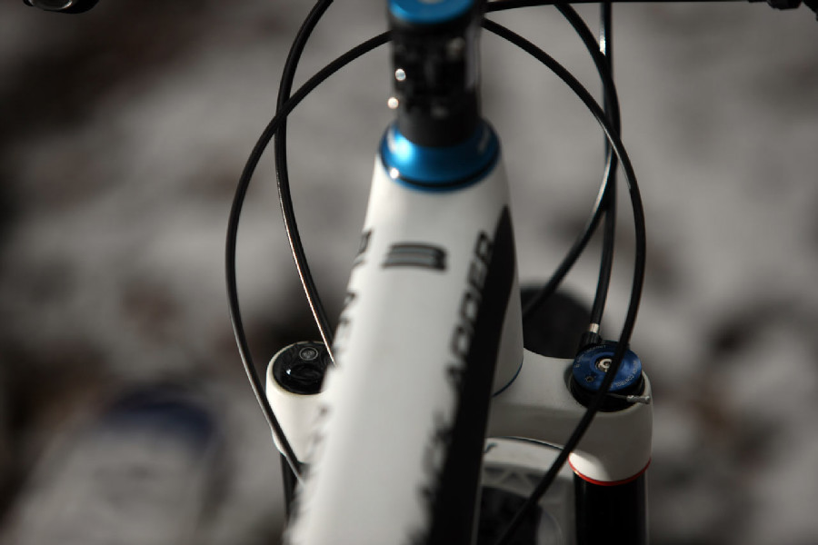 Bulls Black Adder 29