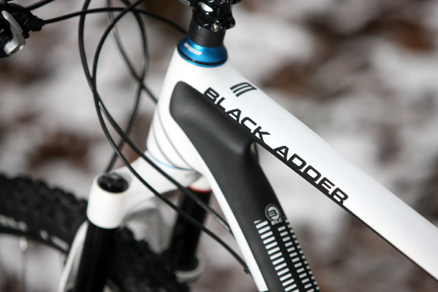 Bulls Black Adder 29