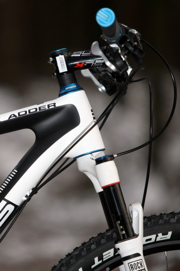 Bulls Black Adder 29