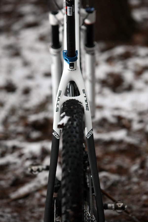 Bulls Black Adder 29