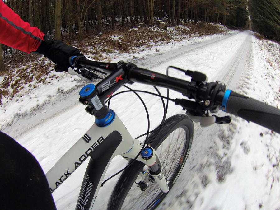 Bulls Black Adder 29