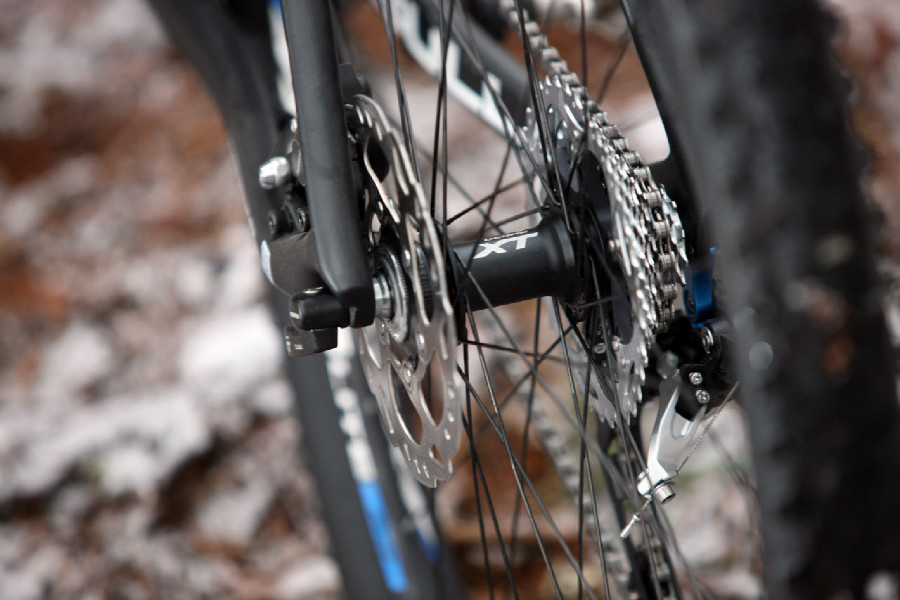 Bulls Black Adder 29