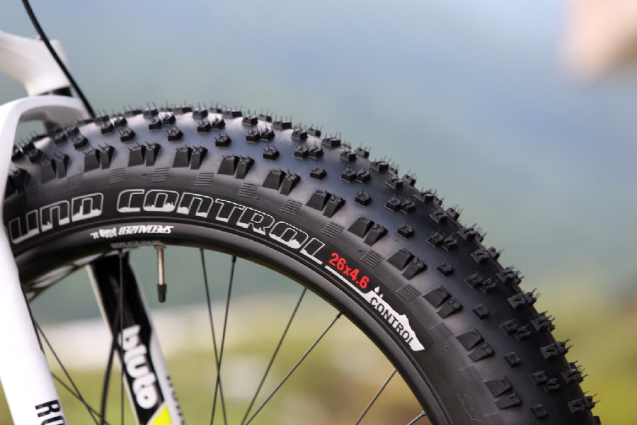 Specialized Fatboy Pro