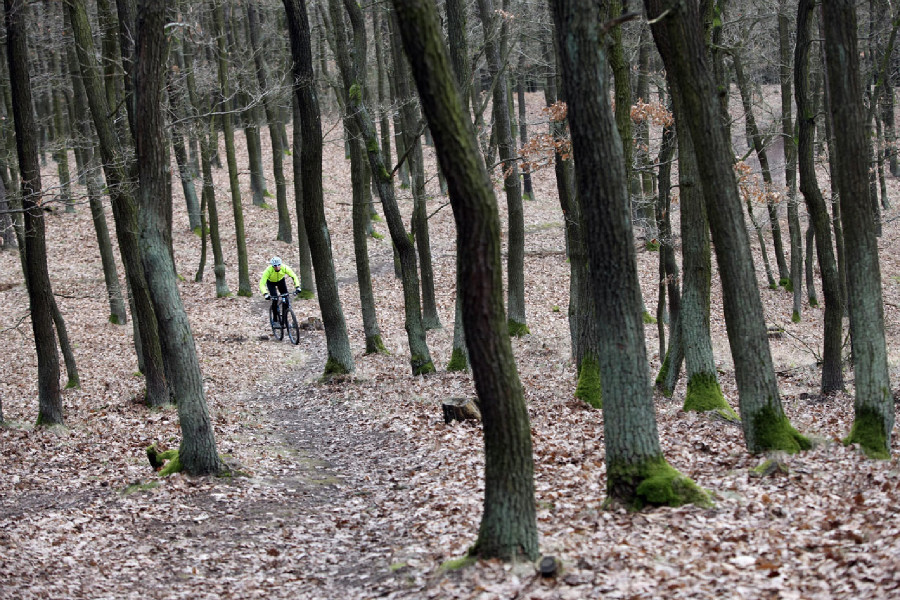 Cannondale FSi Carbon 2