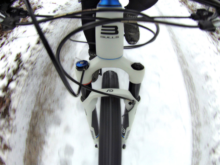 Bulls Black Adder 29