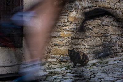 Cyprus Sunshine Cup 2015 - Afxentia