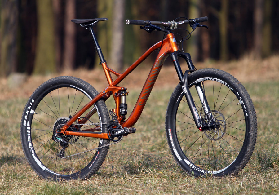 Canyon Spectral AL 9.9 EX