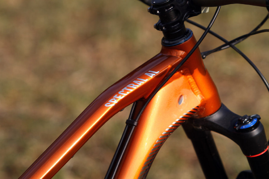 Canyon Spectral AL 9.9 EX