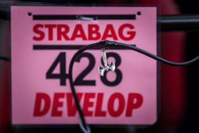 Raiza Goulao Henrque - detail č.1