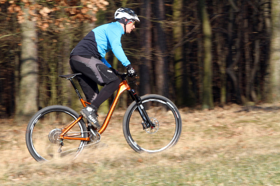 Canyon Spectral AL 9.9 EX