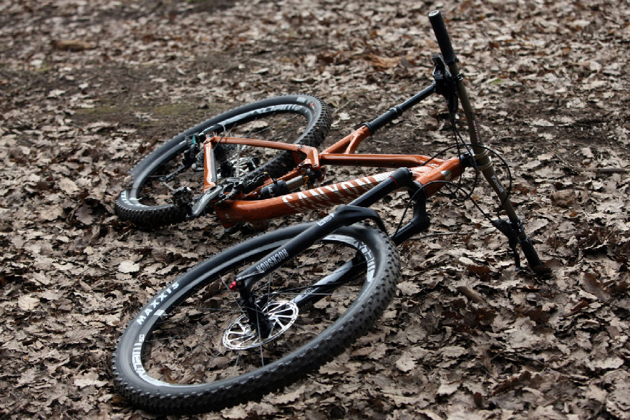 Canyon Spectral AL 9.9 EX