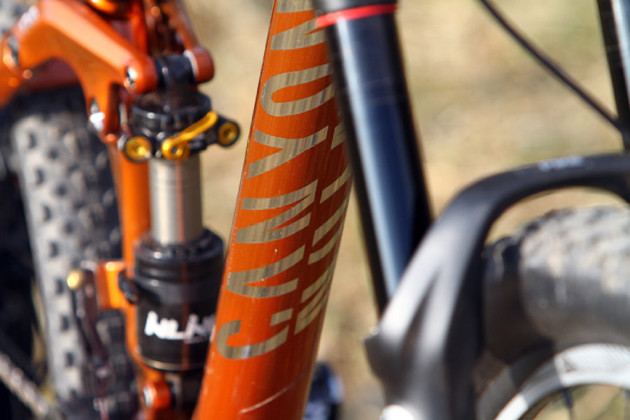 Canyon Spectral AL 9.9 EX