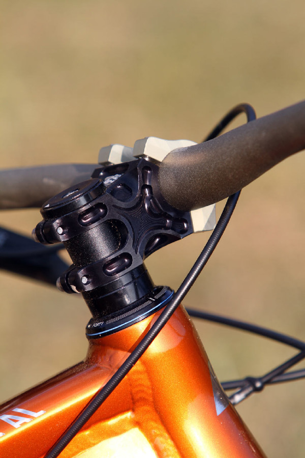 Canyon Spectral AL 9.9 EX