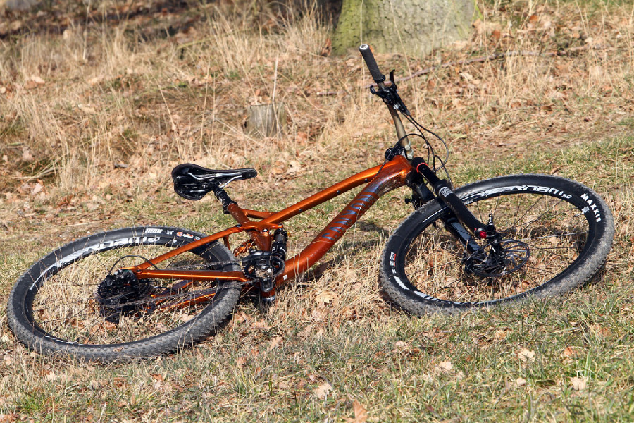 Canyon Spectral AL 9.9 EX