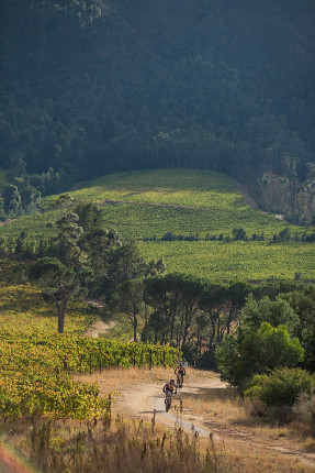 Fotogalerie: Cape Epic 2015 - 6. etapa