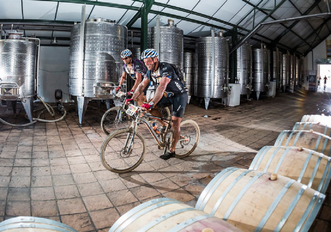 Průjezd vinařstvím není ničím neobvyklým