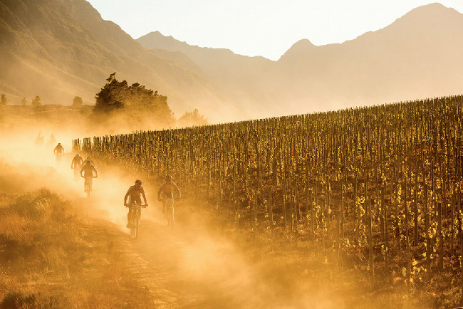 Fotogalerie: Cape Epic 2015 - 5. etapa