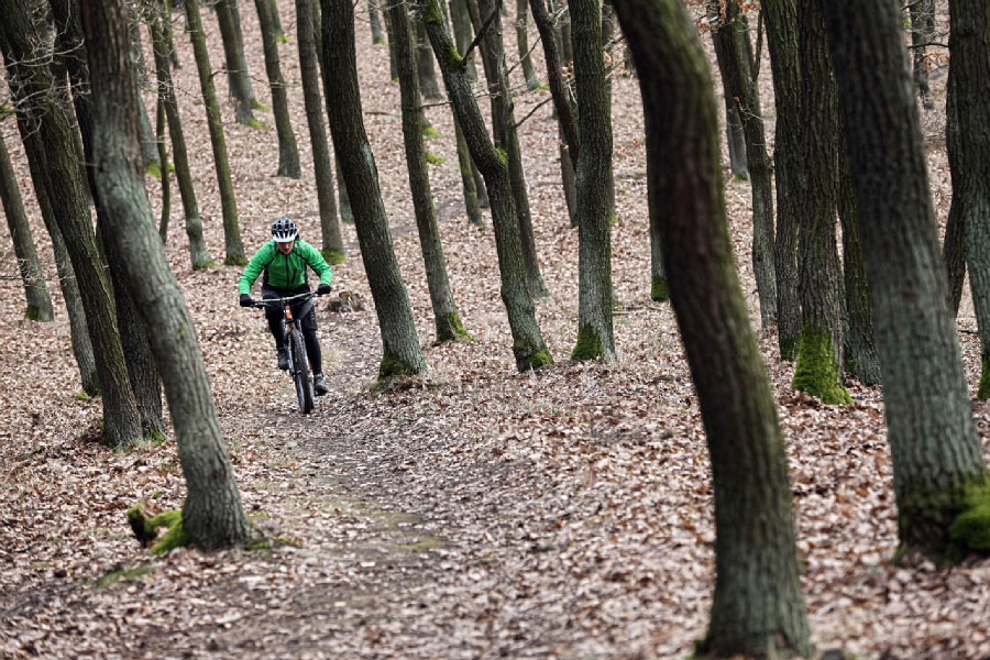 Canyon Spectral AL 9.9 EX