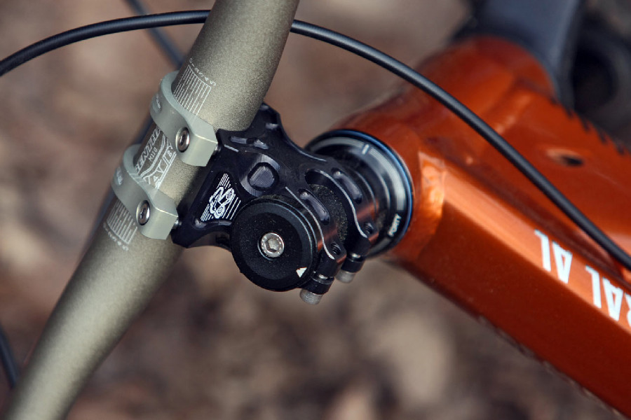 Canyon Spectral AL 9.9 EX