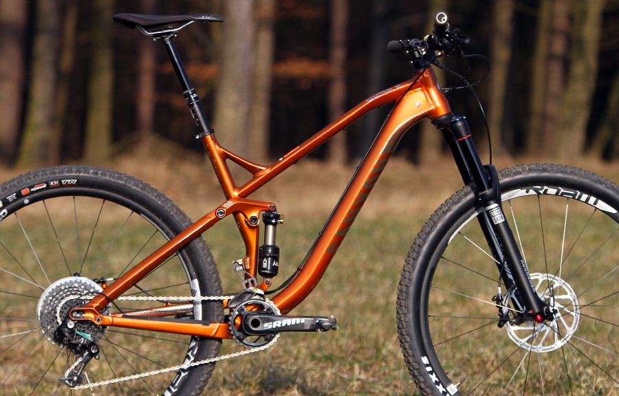 Canyon Spectral AL 9.9 EX