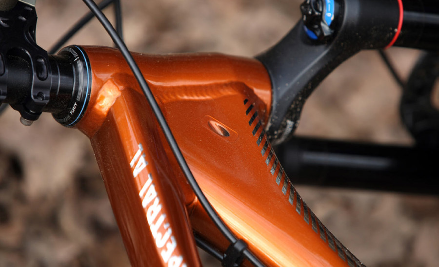 Canyon Spectral AL 9.9 EX