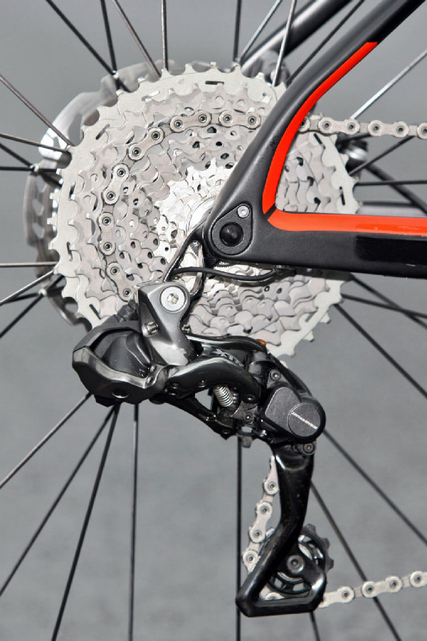 BMC TE01 Juliana Absalona 