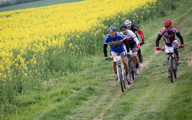 Řepka bývá pravidelným průvodcem Šely