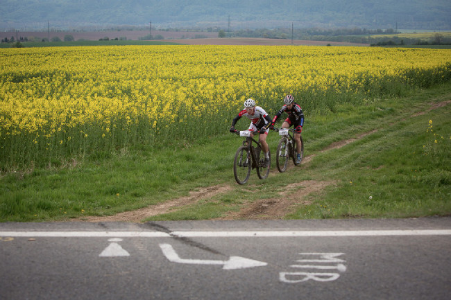 Řepka bývá pravidelným průvodcem Šely