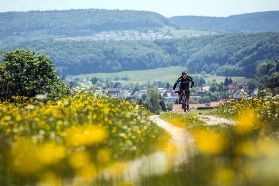 Prezentace Merida Ninety Six 2016