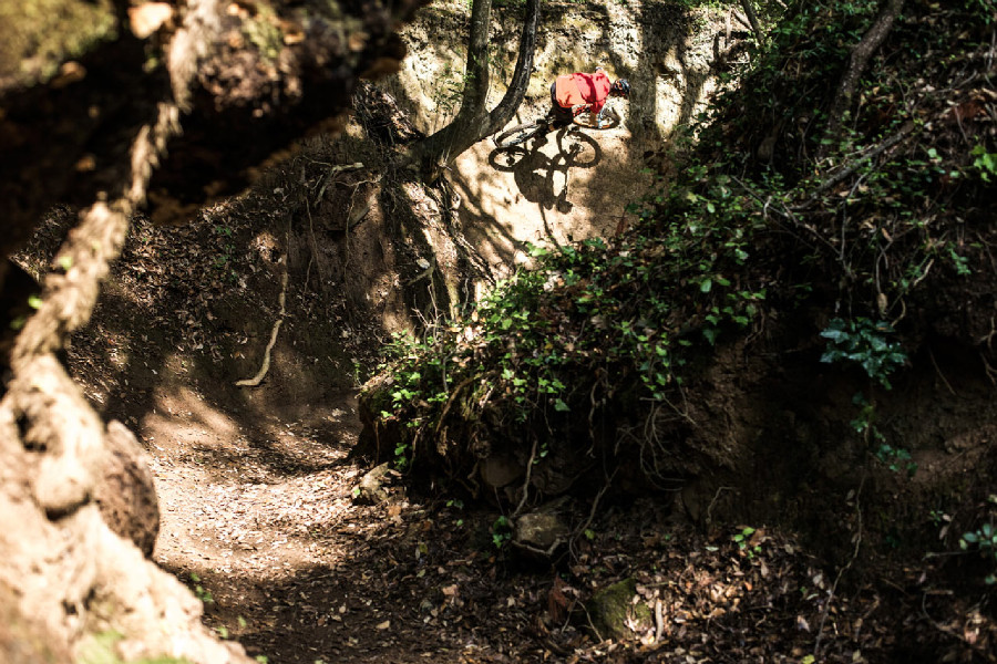 Scott 2016 press meeting