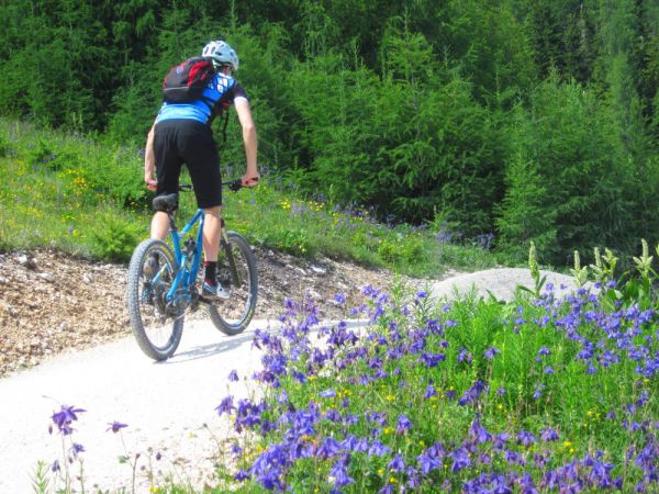 Flow Country Trail Petzen