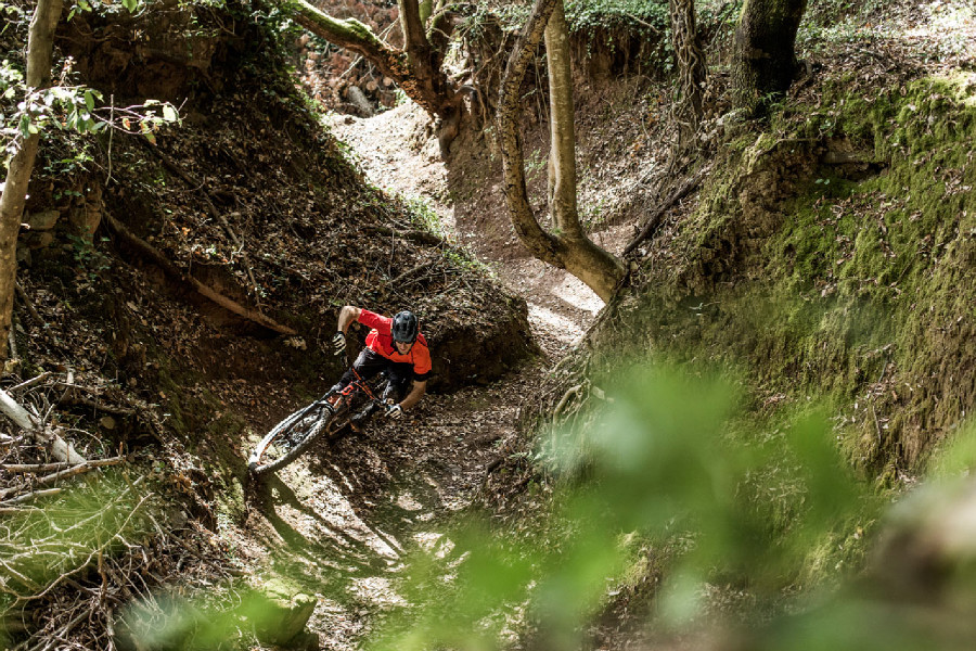 Scott 2016 press meeting